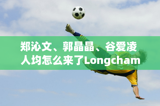 郑沁文、郭晶晶、谷爱凌 人均怎么来了Longchamp