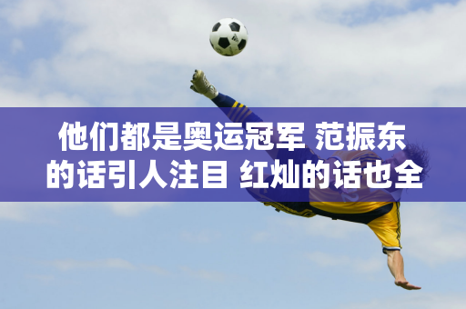 他们都是奥运冠军 范振东的话引人注目 红灿的话也全是 网友：这句话就像他的人一样