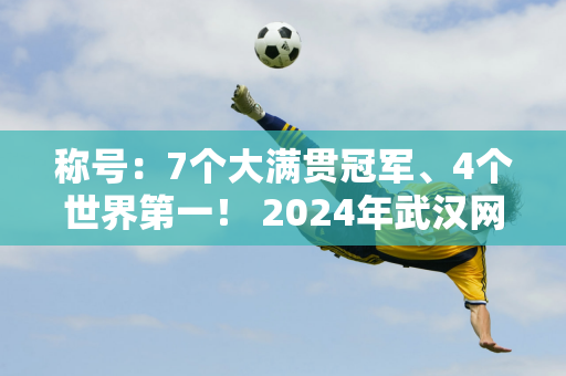 称号：7个大满贯冠军、4个世界第一！ 2024年武汉网球选手阵容出炉