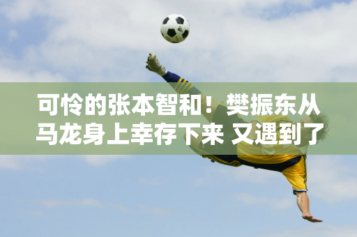 可怜的张本智和！樊振东从马龙身上幸存下来 又遇到了新的受害者 他第一次击败了林诗栋 苦笑着离开了赛场