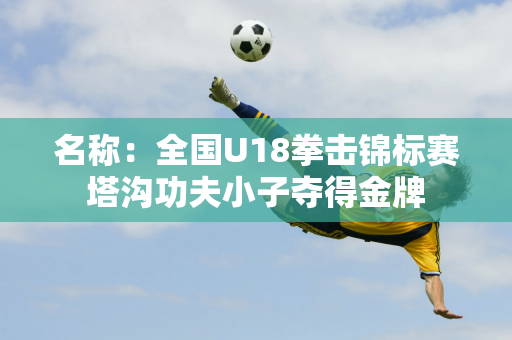 名称：全国U18拳击锦标赛塔沟功夫小子夺得金牌