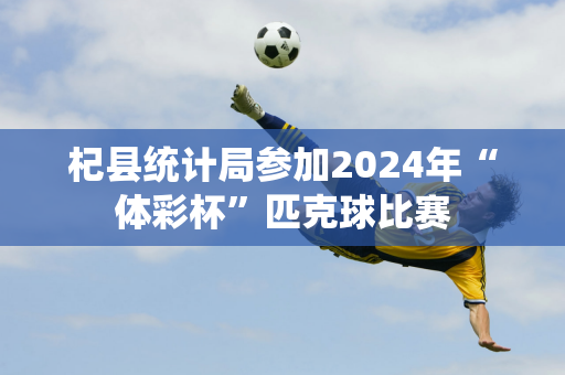 杞县统计局参加2024年“体彩杯”匹克球比赛