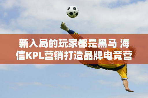 新入局的玩家都是黑马 海信KPL营销打造品牌电竞营销新范式