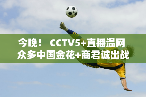 今晚！ CCTV5+直播温网 众多中国金花+商君诚出战 张志臻男单被淘汰