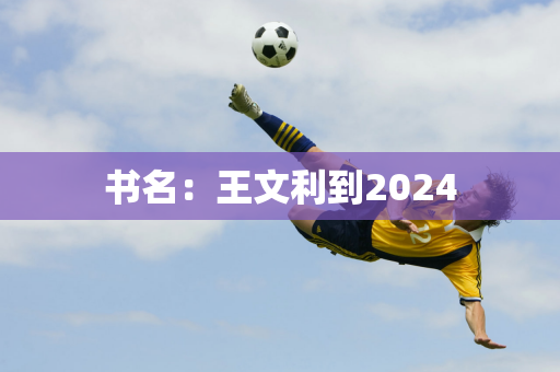 书名：王文利到2024