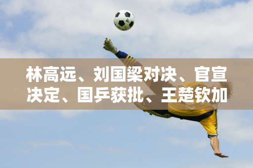 林高远、刘国梁对决、官宣决定、国乒获批、王楚钦加持