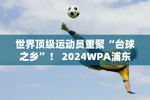 世界顶级运动员重聚“台球之乡”！ 2024WPA浦东唐城9球中国公开赛开赛