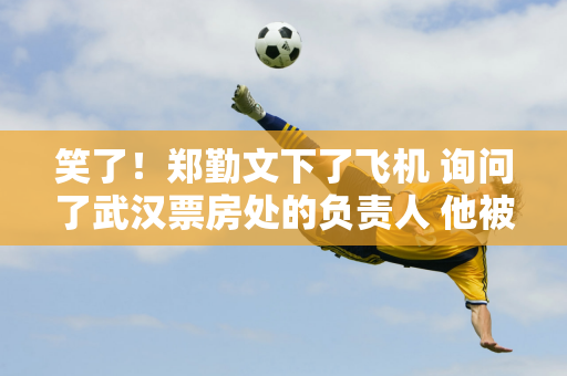 笑了！郑勤文下了飞机 询问了武汉票房处的负责人 他被告知 33,360张门票很难买到 我还是做出了贡献！