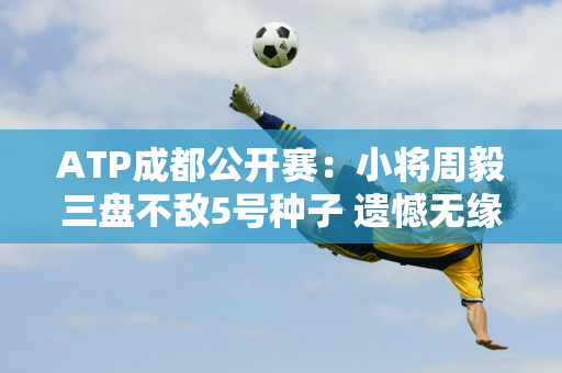 ATP成都公开赛：小将周毅三盘不敌5号种子 遗憾无缘八强