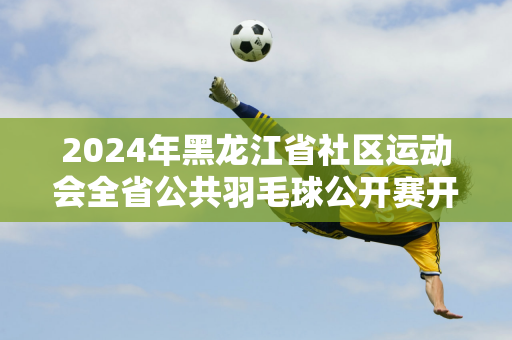 2024年黑龙江省社区运动会全省公共羽毛球公开赛开幕