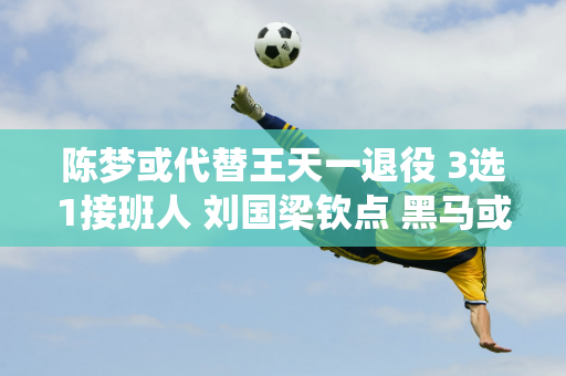 陈梦或代替王天一退役 3选1接班人 刘国梁钦点 黑马或逆袭