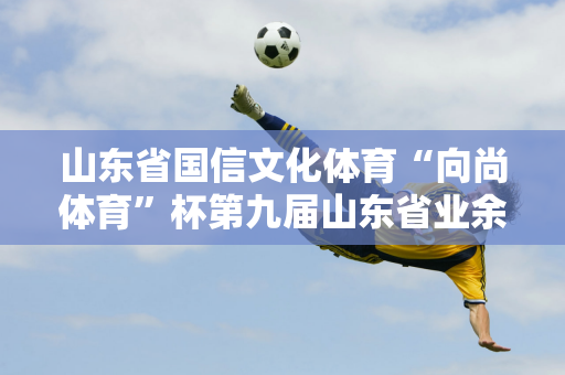 山东省国信文化体育“向尚体育”杯第九届山东省业余羽毛球联赛泰安站圆满落幕！