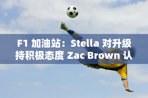 F1 加油站：Stella 对升级持积极态度 Zac Brown 认为没有任何操作是完美的！