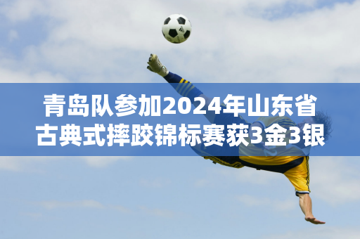 青岛队参加2024年山东省古典式摔跤锦标赛获3金3银5铜