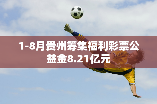 1-8月贵州筹集福利彩票公益金8.21亿元