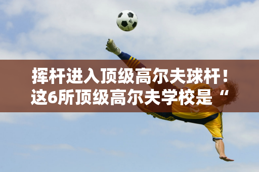 挥杆进入顶级高尔夫球杆！这6所顶级高尔夫学校是“常春藤盟校的最爱”