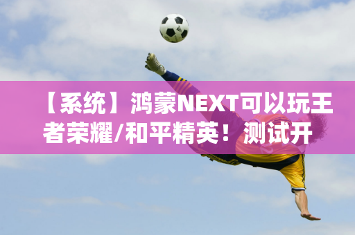 【系统】鸿蒙NEXT可以玩王者荣耀/和平精英！测试开始