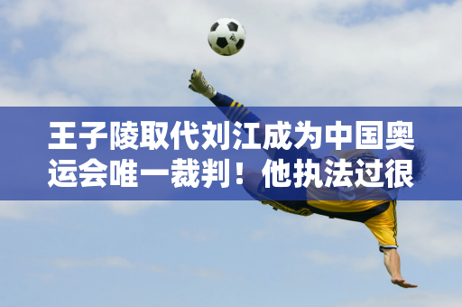 王子陵取代刘江成为中国奥运会唯一裁判！他执法过很多有争议的比赛！