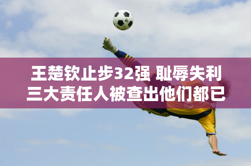 王楚钦止步32强 耻辱失利三大责任人被查出他们都已经习惯了大头