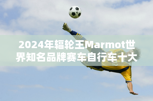 2024年辐轮王Marmot世界知名品牌赛车自行车十大最佳公路自行车排行榜