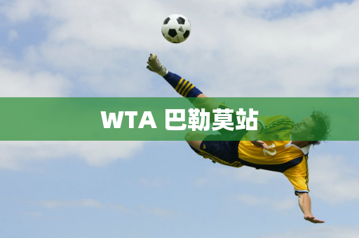 WTA 巴勒莫站