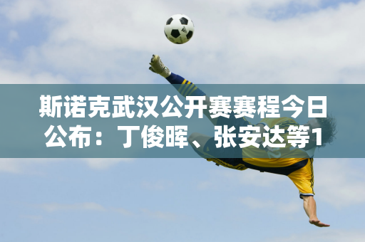 斯诺克武汉公开赛赛程今日公布：丁俊晖、张安达等10名中国选手将登场