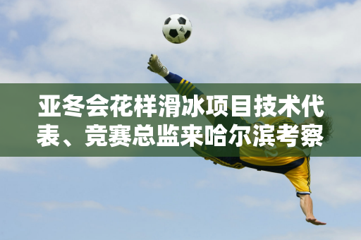 亚冬会花样滑冰项目技术代表、竞赛总监来哈尔滨考察