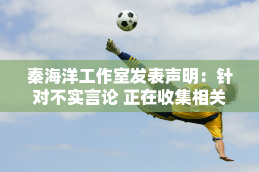 秦海洋工作室发表声明：针对不实言论 正在收集相关证据 必要时向公安机关报案