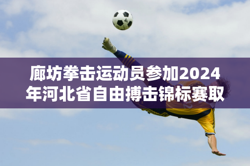 廊坊拳击运动员参加2024年河北省自由搏击锦标赛取得好成绩