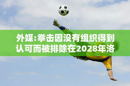 外媒:拳击因没有组织得到认可而被排除在2028年洛杉矶奥运会之外