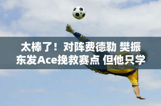 太棒了！对阵费德勒 樊振东发Ace挽救赛点 但他只学了3小时网球 即兴发挥