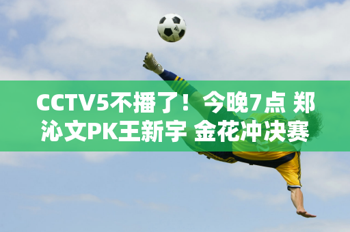 CCTV5不播了！今晚7点 郑沁文PK王新宇 金花冲决赛 看谁再次创造历史