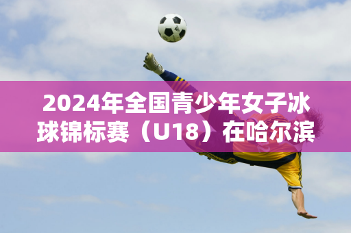 2024年全国青少年女子冰球锦标赛（U18）在哈尔滨体育学院开赛