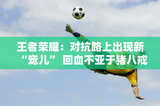 王者荣耀：对抗路上出现新“宠儿” 回血不亚于猪八戒 控制力不亚于廉颇