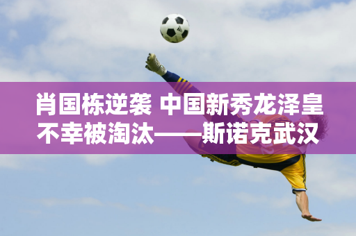 肖国栋逆袭 中国新秀龙泽皇不幸被淘汰——斯诺克武汉公开赛半决赛报到