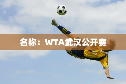 名称：WTA武汉公开赛