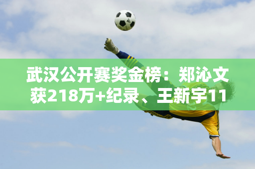 武汉公开赛奖金榜：郑沁文获218万+纪录、王新宇113万、萨巴伦卡370万