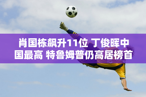 肖国栋飙升11位 丁俊晖中国最高 特鲁姆普仍高居榜首