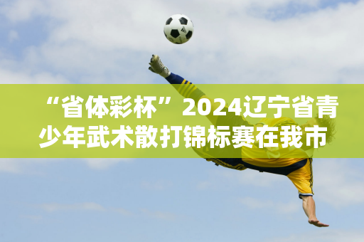 “省体彩杯”2024辽宁省青少年武术散打锦标赛在我市圆满落幕