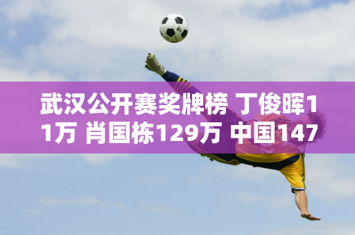 武汉公开赛奖牌榜 丁俊晖11万 肖国栋129万 中国147分老师斯佳慧58万