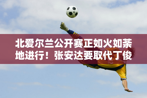 北爱尔兰公开赛正如火如荼地进行！张安达要取代丁俊晖！塞尔比遭中国球员袭击