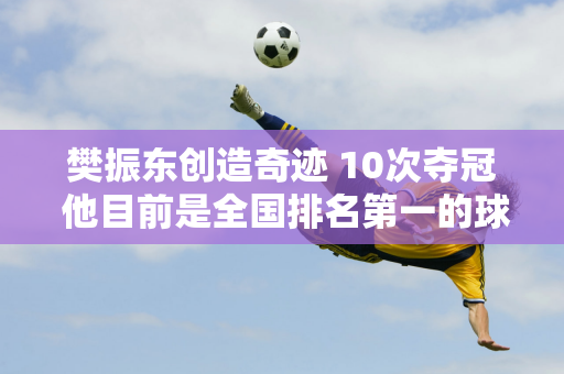 樊振东创造奇迹 10次夺冠 他目前是全国排名第一的球员 你知道多金王是谁吗？