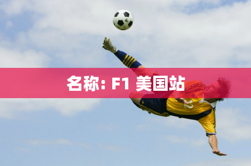 名称: F1 美国站