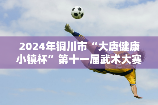 2024年铜川市“大唐健康小镇杯”第十一届武术大赛暨首届青少年自由搏击比赛在铜川体育馆开幕