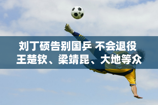 刘丁硕告别国乒 不会退役 王楚钦、梁靖昆、大地等众多队友送上祝福