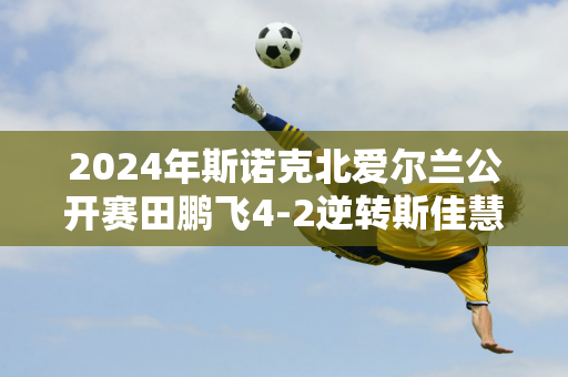 2024年斯诺克北爱尔兰公开赛田鹏飞4-2逆转斯佳慧晋级32强