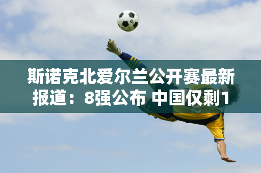 斯诺克北爱尔兰公开赛最新报道：8强公布 中国仅剩1人