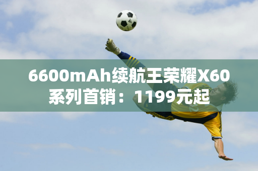 6600mAh续航王荣耀X60系列首销：1199元起