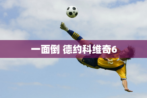 一面倒 德约科维奇6