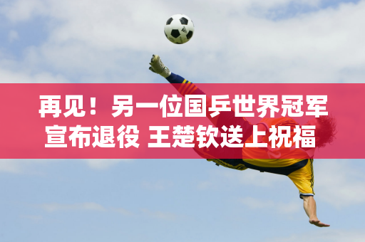 再见！另一位国乒世界冠军宣布退役 王楚钦送上祝福 结束了他10年的国手生涯